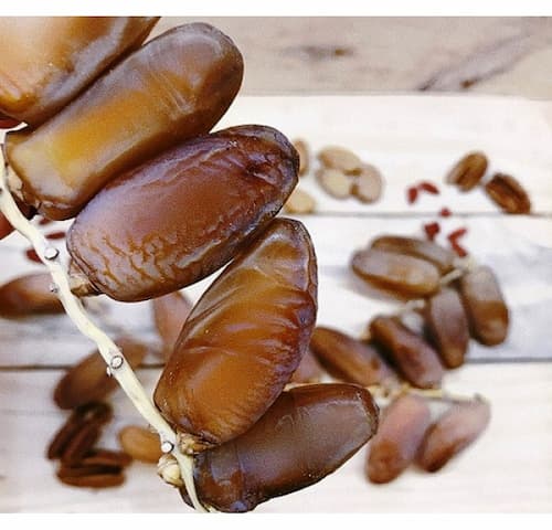 قیمت خرید خرما پیارم فله با فروش عمده